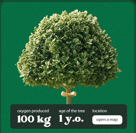 The tree’s digital tag: 100 kg of oxygen, 1 year old, open a map