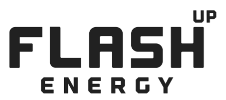 flash logo